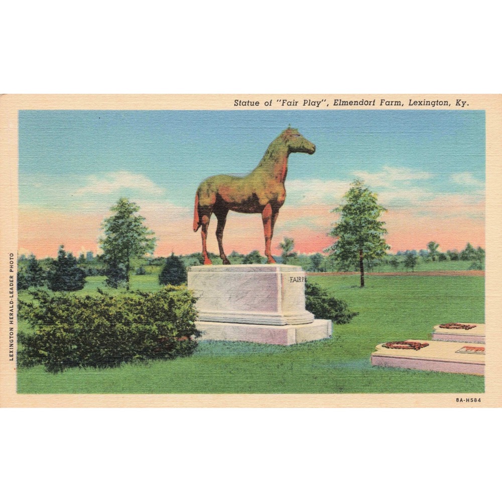 Vintage Fair Play Horse‎ Statue Elmdorf Farm Lexington KY Postcard